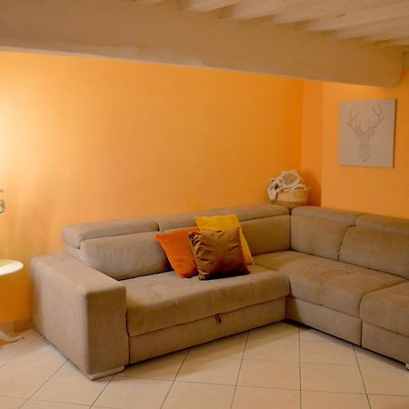 Piazza Napoleone Sweet Apartment Lucca Bagian luar foto