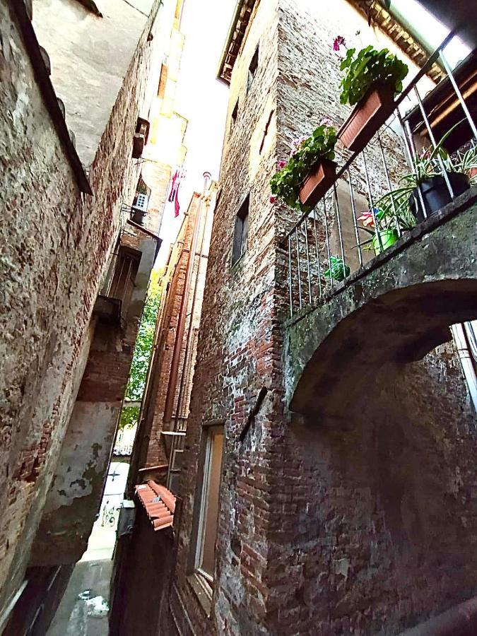 Piazza Napoleone Sweet Apartment Lucca Bagian luar foto